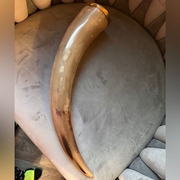 Handcrafted Natural Viking Beer Horn 16"Medieval Drinking Vessel Brass O… - Picture 14 of 15